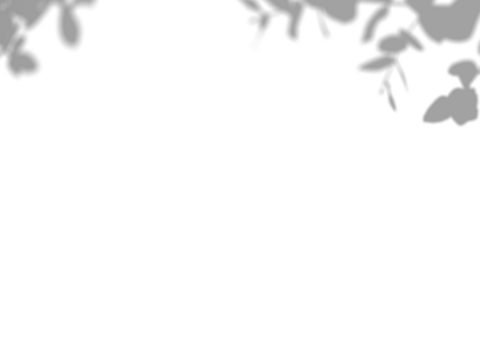 Botanic shadows overlay, Photoshop overlay, Plant tree flower Shadow, light casts, light effect, png