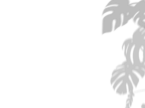 Botanic shadows overlay, Photoshop overlay, Plant tree flower Shadow, light casts, light effect, png