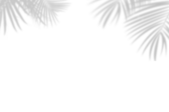 Botanic shadows overlay, Photoshop overlay, Plant tree flower Shadow, light casts, light effect, png