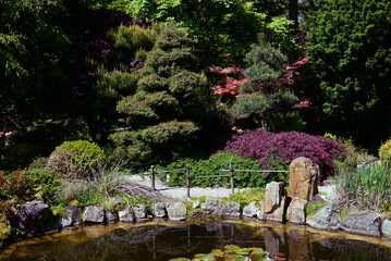 Jardin japonais - 