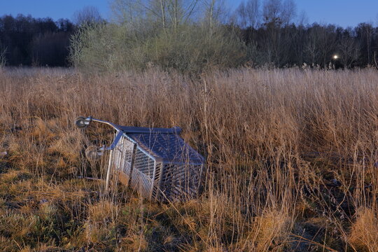 garbage in the park