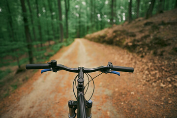 Naklejka na ściany i meble No hands cyclist riding in the forest first-person view.