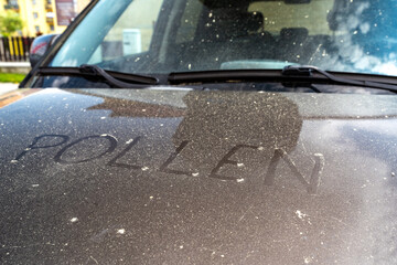 Text Pollen written on car body. Allergy season