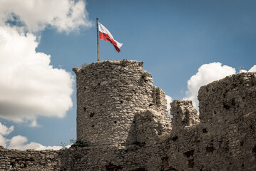 Polskie zamki, ruiny, mury obronne - obrazy, fototapety, plakaty