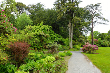Fototapeta na wymiar Beautiful vegetation in the gardens of Muckross House, furnished 19th-century mansion set among mountains and woodland, Ireland.