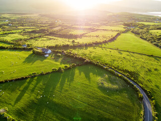 Aerial view of endless lush pastures and farmlands of Ireland. Beautiful Irish countryside with emerald green fields and meadows.