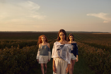 Portrait of three women of different types in in a currant field