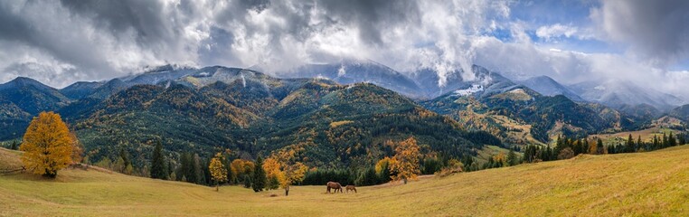 The panorama of Chornogora mountain chain form the alpine meadow 