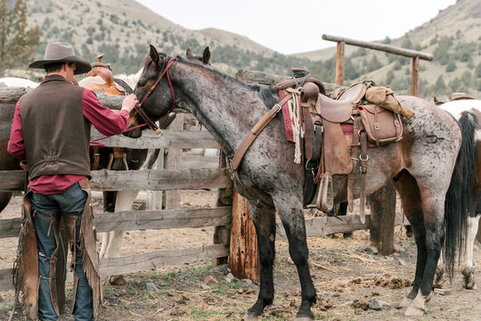 cowboy prepares his horse at cattle farm