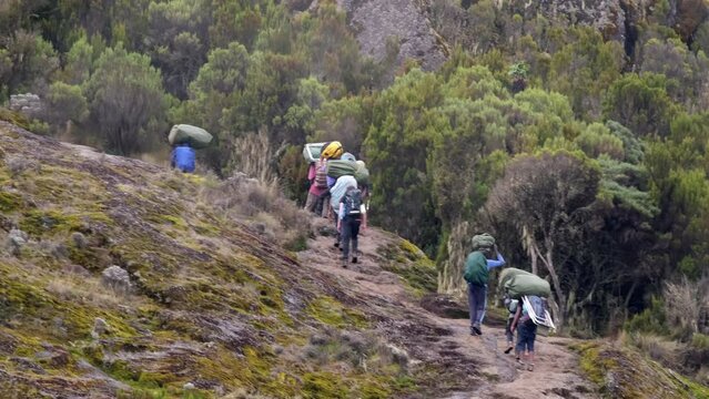 The general plan of porters and tourists are walking along the slope of a rocky mountain during a hike. A chain of porters with equipment walking along a narrow path while climbing Kilimanjaro.