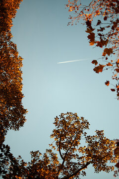 plane trail in the sky