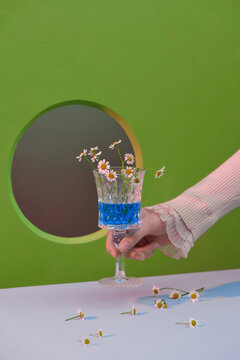 Hand Holding A Glass With Little White Flower Petals 