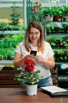 Garden center worker takes a picture of a display case with potted plants with her phone