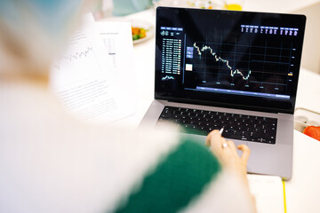 Incognito economist working on laptop in office