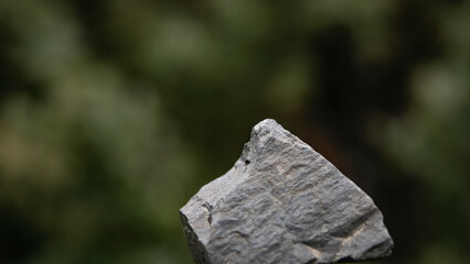 Little gray stone