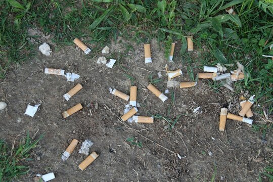Achtlos hingeworfene Zigarettenstummel (Kippen) zerstören die Umwelt.