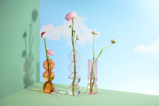 Persian buttercup flowers ranunculus in vases