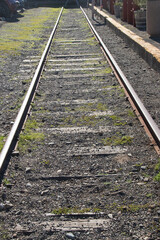 railroad tracks in autumn