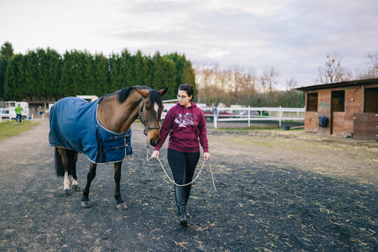 Woman leading horse on paddock on ranch