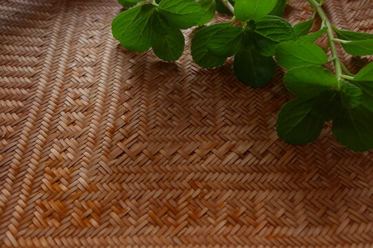 Fondo de cester&iacute;a pem&oacute;n con plantas medicinales.