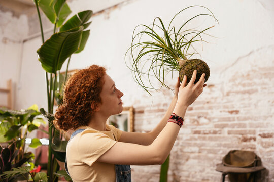 Gardner looking at green plant in hothouse
