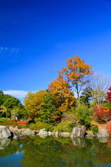 Obraz premium びわこ文化公園