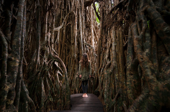 Anonymous woman standing inside surreal tree 