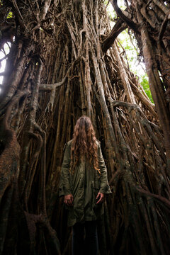 Terror movie like portrait of a woman inside big tree