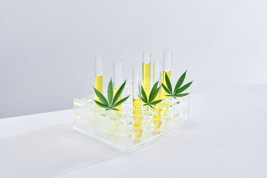 Research of hemp oil in glass tubes 