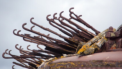 Old, rusted whale oil boilers at Whaler's Bay on Deception Island, South Shetland Islands,...