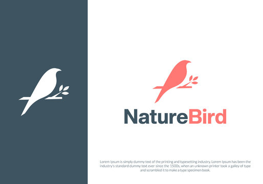 bird logo design. logo template