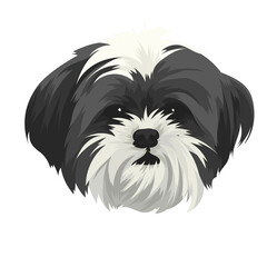 schnauzer dog portrait
