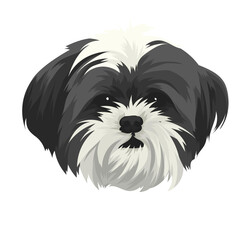 schnauzer dog portrait