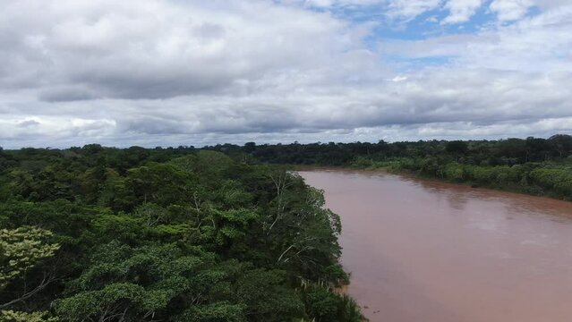 Aerial view of amazon basin rainforest in Peru/ Madre de dios / Manu National Park