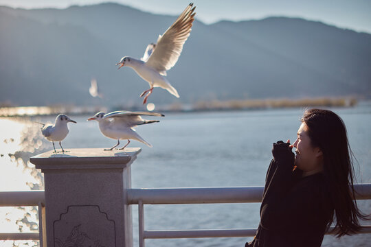 Funny Portrait Of Terrified Asian Woman Next To A Group Of Seagulls.