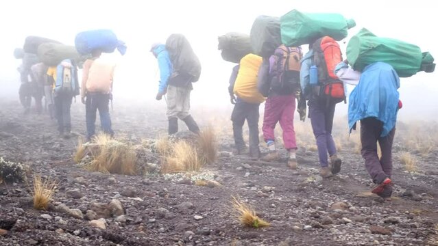 A group of porters with trunks on their heads and tourists with backpacks walk warmly dressed through the wasteland in the fog to the Lava Tower camp during the ascent of Mount Kilimanjaro