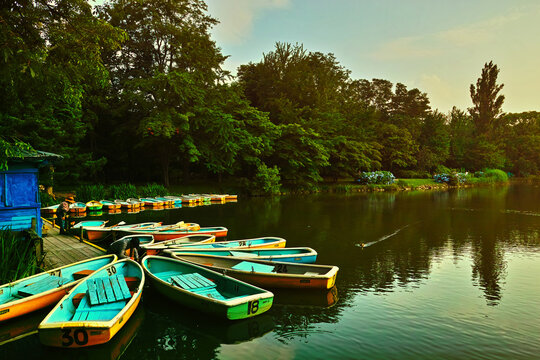 中島公園　ボート　菖蒲池（北海道札幌市）Boat Ramp on Nakajima Park - Sapporo City