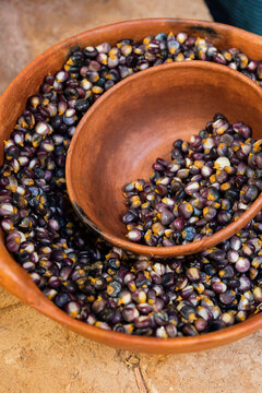 lay pot container with grains of blue corn 