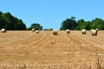 bales of hay in field