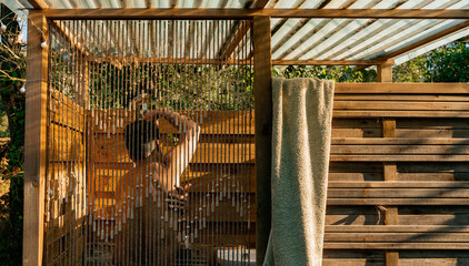Man taking a shower at wooden outdoor cabin