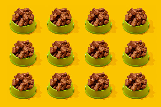 dog bowls with food