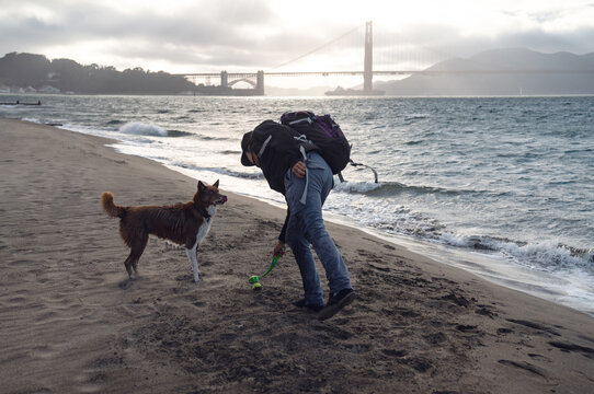 Jules and their Siberian Husky playing by Golden Gate Bridge beach 