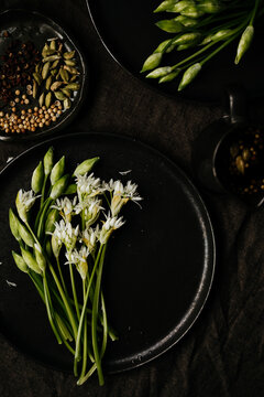 Picked wild garlic buds and flowers