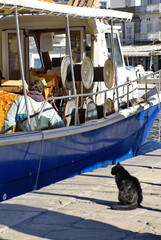 Cat by a fishing boat on the quay in the harbor on Hydra, Greek Isles