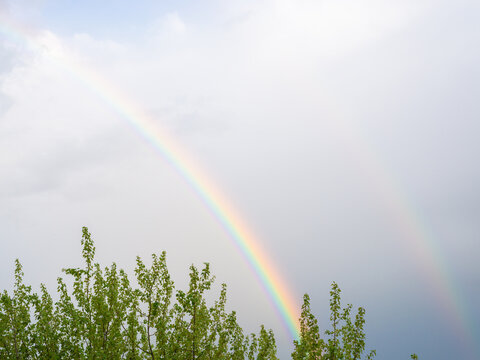 Double rainbow and trees