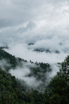 Dark landscape of clouds over a mountain of pine trees 