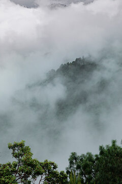 A mountain covered in mist in San Jose del Pacifico Oaxaca 