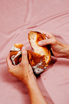 man breaks a kamut wheat bread loaf