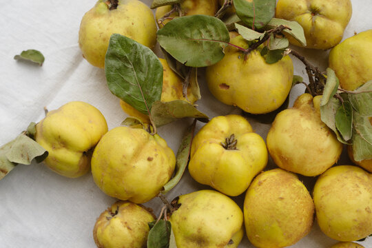 Raw Quinces