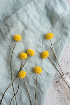 Yellow Flowers On Blue Linen